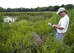 1655326569770 Wetlands 1655326569770 Wetlands