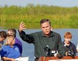 1655326581799 Bush Everglades 1655326581799 Bush Everglades