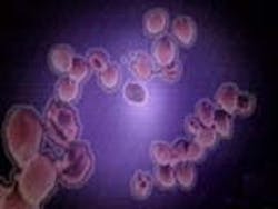 1655326587505 Cryptosporidium 010508 1655326587505 Cryptosporidium 010508