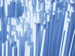 1655326593460 Membrane 1655326593460 Membrane