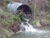 1655326605079 Stream