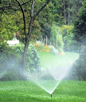 1655326606230 Sprinkler Copy