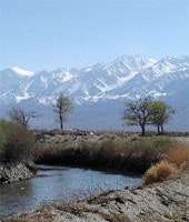 1655326608715 Owenriver Copy