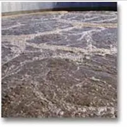 1655326611317 Sewageplant31104 1655326611317 Sewageplant31104