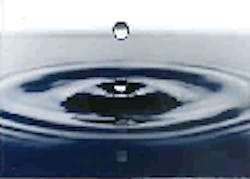 1655326612393 Acf188 1655326612393 Acf188