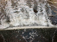 1655326612593 Final 2