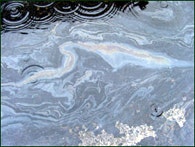 1655326614209 Importanceoilinwater