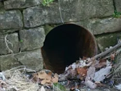 1655326622027 Image
