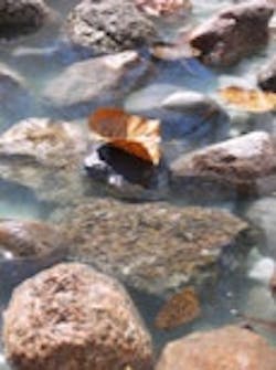 1655326636639 River2 1655326636639 River2