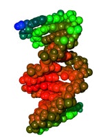 1655326640968 Dna
