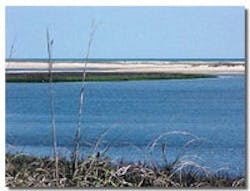 1655326644096 Cape 1655326644096 Cape