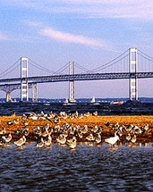 1655326644950 Chesbay
