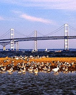 1655326644950 Chesbay 1655326644950 Chesbay