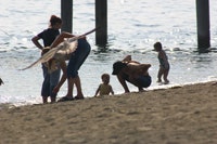 1655326647564 Beach2