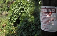 1655326648400 Fish Advisory Sr