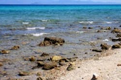 1655326651262 Coast 1655326651262 Coast