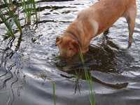 EPA Provides 2.7 Million in Grants for Local Health and Environmental Protection Wastewater