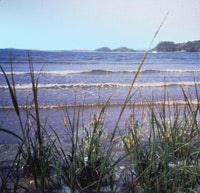 1655326658747 Chesapeake