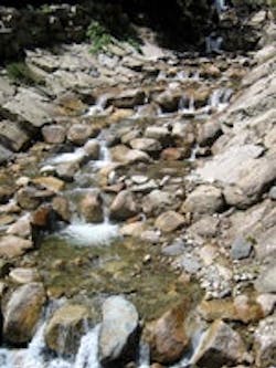 1655326659753 P 1655326659753 P