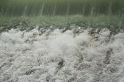 1655326659774 W 1655326659774 W