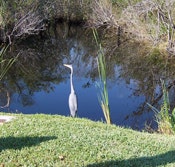 1655326660359 Bandini 100 0773