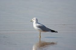 1655326661751 Mazatlan006 1655326661751 Mazatlan006