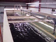 1655326662477 Plant