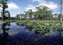 1655326663581 Caddo 1655326663581 Caddo