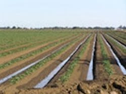 1655326666673 P61100011 1655326666673 P61100011