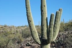 1655326668327 Ariz2 1655326668327 Ariz2