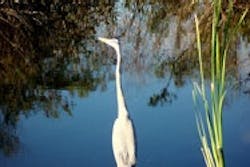 1655326669987 Bandini 100 0774 1655326669987 Bandini 100 0774