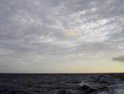 1655326670235 Dsc04648 L1