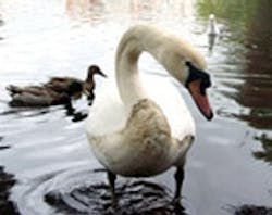 1655326681369 Wastewaterspill 1655326681369 Wastewaterspill