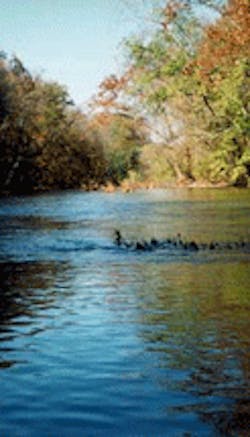 1655326687451 Elkhorncreek 1655326687451 Elkhorncreek