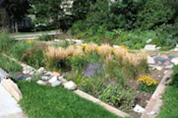 1655326688723 Raingarden04 1655326688723 Raingarden04