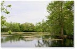 1655326706230 Springlage2 1655326706230 Springlage2