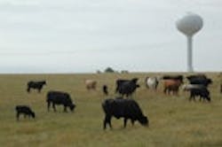 1655326707582 Rural 1655326707582 Rural