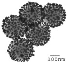 1655326707636 Silver