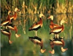 1655326713863 Texas 1655326713863 Texas