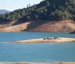 1655326715141 Shasta 1655326715141 Shasta