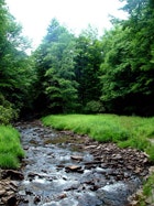 1655326719633 Va Water