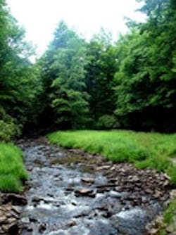 1655326719633 Va Water 1655326719633 Va Water