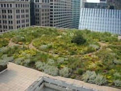 1655326719790 203595453 C849973c16 O 1655326719790 203595453 C849973c16 O