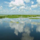 1655326720078 Fla Water