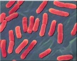 1655326726823 E 1655326726823 E