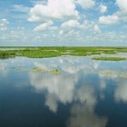 1655326731664 Fla Surface Water