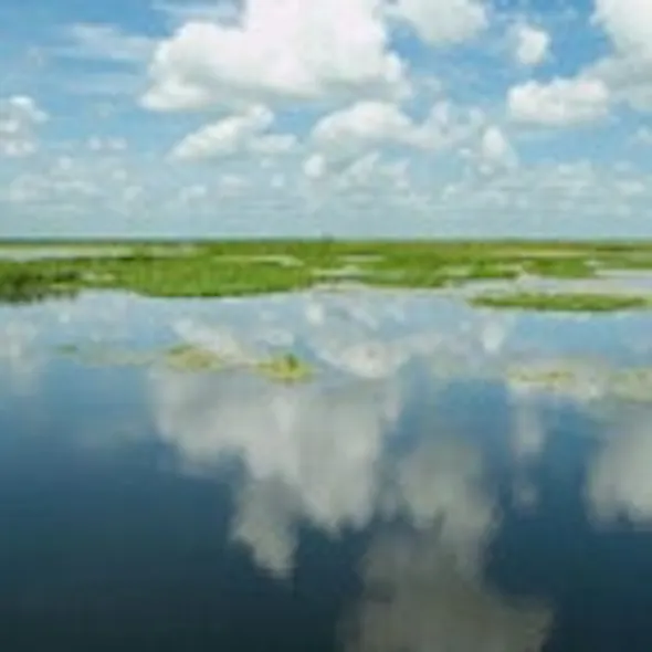 EPA and Florida DEP Work Together to Restore Surface Waters ...