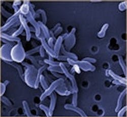 1655326735100 Microbes1 1655326735100 Microbes1