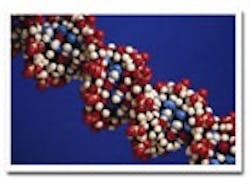 1655326736577 Chr6 1655326736577 Chr6