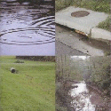 1655326739157 Collage1